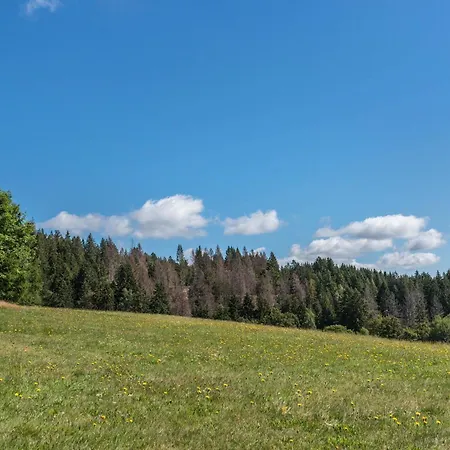 Haus Isele Urberg